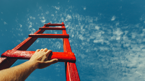 ladder to success